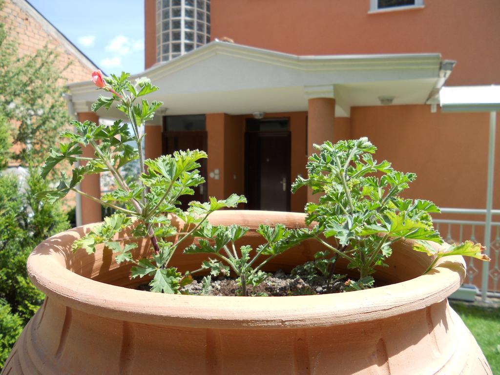 אוהריד Boris & Matej Apartments מראה חיצוני תמונה